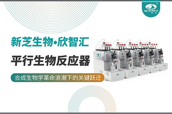 培養(yǎng)菌株和評估工藝參數影響太難太慢？平行生物反應器提供關鍵解決方案！